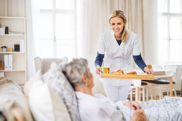 Eine junge Gesundheitsberaterin bringt einer kranken älteren Frau, die zu Hause im Bett liegt, das Frühstück. - HPIF29146