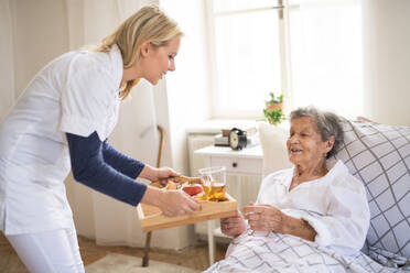 Ayoung health visitor bringing breakfast to a sick senior woman lying in bed at home. - HPIF29147