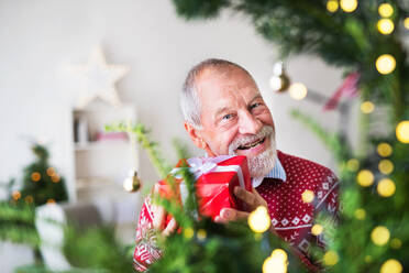 Ein Porträt eines fröhlichen älteren Mannes, der am Weihnachtsbaum steht und ein Geschenk in einer verpackten Schachtel hält. - HPIF29300