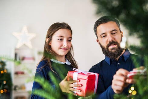 Ein kleines Mädchen mit einem Geschenk, das bei seinem Vater zu Hause unter dem Weihnachtsbaum steht. - HPIF29362