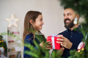 Ein kleines Mädchen mit einem Geschenk, das bei seinem Vater zu Hause unter dem Weihnachtsbaum steht. - HPIF29363