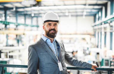 Porträt eines reifen Industrieingenieurs, der in einer Fabrik steht, Kopierraum. - HPIF29561
