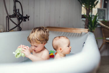 Zwei glückliche Kleinkinder beim Baden im heimischen Badezimmer. - HPIF29634