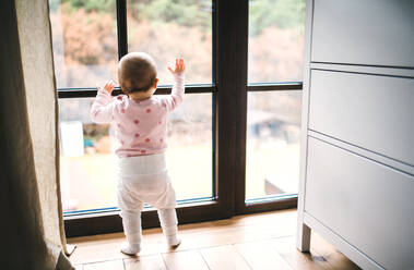 Ein Kleinkind steht am Fenster auf dem Holzboden im Schlafzimmer zu Hause, Rückansicht. - HPIF29657