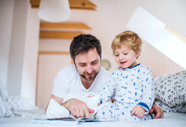 Mature father with toddler boy in bedroom at home, reading stories at bedtime. Paternity leave. - HPIF29659