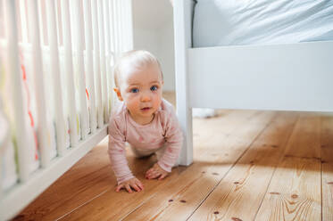 A toddler child crawling on the wooden floor in bedroom at home. - HPIF29676