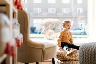 A happy small toddler boy sitting in zero waste shop. Copy space. - HPIF29702