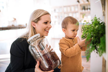 Eine attraktive junge Frau mit einem kleinen Jungen kauft in einem Zero-Waste-Laden Lebensmittel ein. - HPIF29710