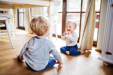 Zwei süße Kleinkinder spielen zu Hause. - HPIF29784