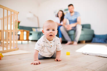 Ein kleiner Junge, der zu Hause auf dem Boden krabbelt, während die Eltern im Hintergrund auf dem Sofa sitzen und nicht zu erkennen sind. - HPIF30310