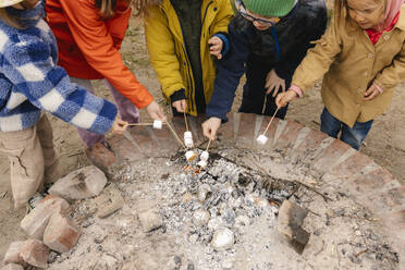Children roasting marshmallows together on fire - VIVF00948
