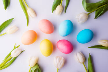 Weiße Blumen und bunte Eier auf weißem Hintergrund. Studioaufnahme. Ostern und Frühling flat lay. - HPIF30429