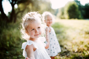 Two small girl friends or sister standing in sunny summer nature, holding hands. - HPIF30573
