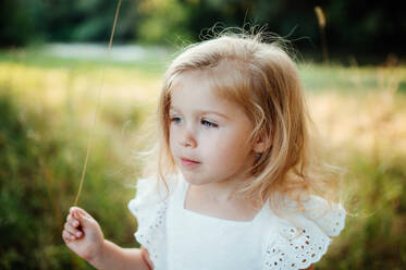 A portrait of cute small girl in sunny summer nature. - HPIF30582