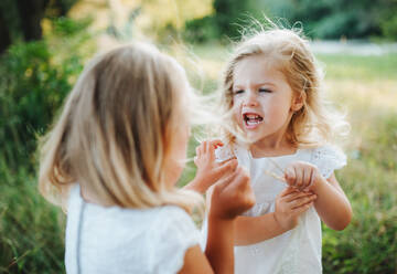Two small angry girl friends or sister outdoors in sunny summer nature, pulling their hair. - HPIF30584