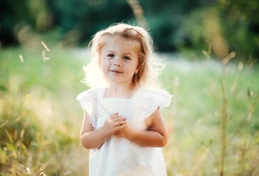 A waist-up portrait of cute small girl in sunny summer nature. - HPIF30586