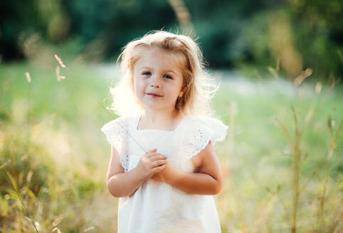 Eine Taille-up-Porträt von niedlichen kleinen Mädchen in sonnigen Sommer Natur. - HPIF30586