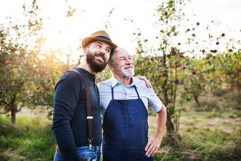 A happy senior man and adult son standing arm in arm in apple orchard in autumn. - HPIF30877