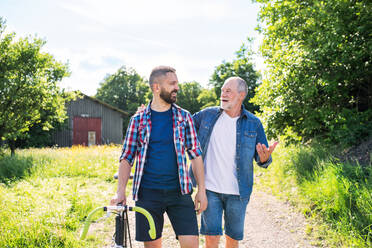 An adult hipster son with bicycle and senior father walking on a road in sunny nature. Copy space. - HPIF30913