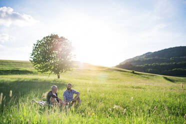 An adult hipster son with his senior father sitting and talking on the grass in sunny nature. - HPIF30928