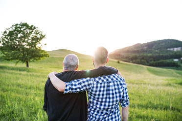 An adult hipster son with his senior father standing on a meadow in nature at sunset. Rear view. - HPIF30943