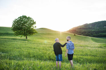 An adult hipster son with his senior father walking on a meadow in nature at sunset. - HPIF30945