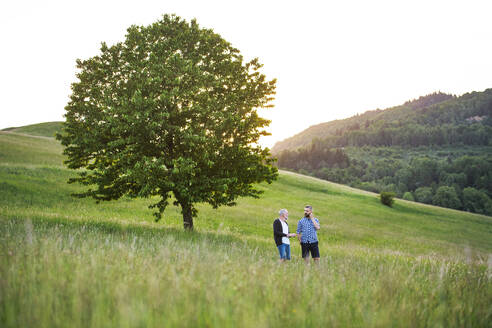 An adult hipster son with his senior father standing on a meadow in nature at sunset. - HPIF30954