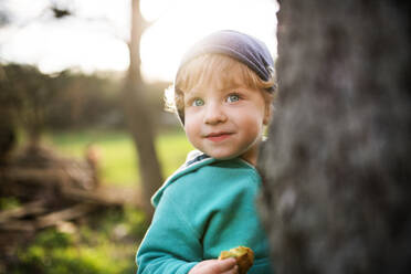 A happy toddler boy hiding behind the tree outside in spring nature. - HPIF30991