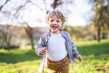 Happy blond toddler boy running outside in spring nature. - HPIF31021