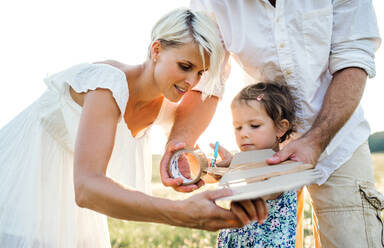 A young family with small daughter playing on a meadow in nature. - HPIF31067