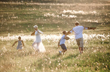 A young family with small children playing on a meadow in nature. - HPIF31082