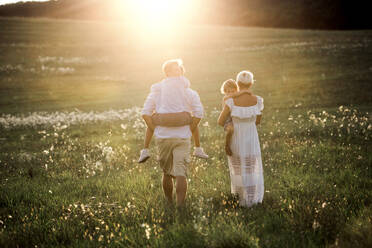 A rear view of young family with small children walking on a meadow at sunset in summer nature. - HPIF31085