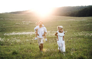 A young family with small children walking on a meadow at sunset in summer nature. - HPIF31086
