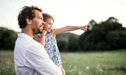 Handsome young father in green sunny summer nature holding his cute small daughter in the arms. Copy space. - HPIF31101