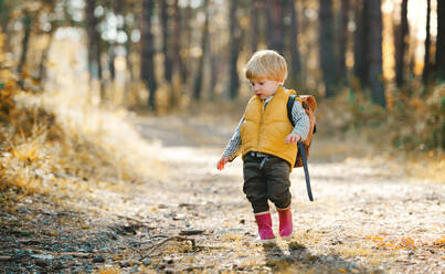 A toddler son with backpack standing on a road in an autumn forest. Copy space. - HPIF31108