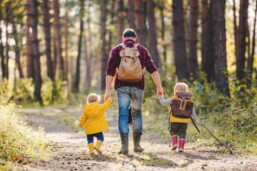 A rear view of father with toddler children walking in an autumn forest, holding hands. - HPIF31109