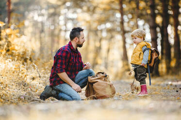 A mature father with backpack and toddler son in an autumn forest, talking. - HPIF31113