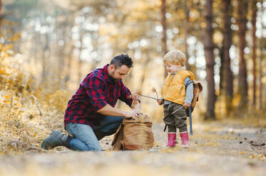 A mature father with a toddler son in an autumn forest, taking something out of a backpoack. - HPIF31115