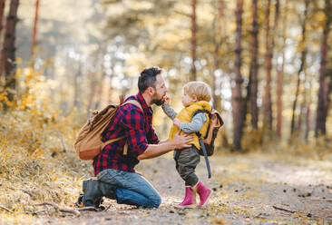 A small toddler boy giving an apple to his father in an autumn forest. - HPIF31121