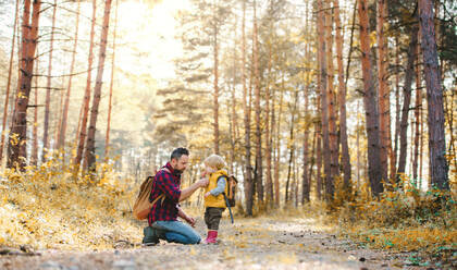A mature father with backpack and toddler son in an autumn forest, resting. - HPIF31123