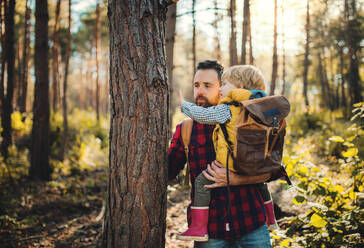 A mature father standing and holding a toddler son in an autumn forest, standing by a tree and talking. - HPIF31124