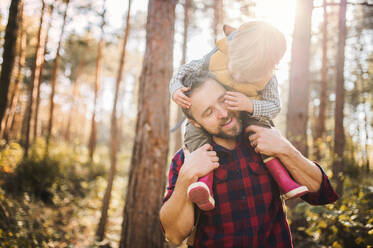 A mature father giving a toddler son a piggyback ride in an autumn forest, having fun. - HPIF31125