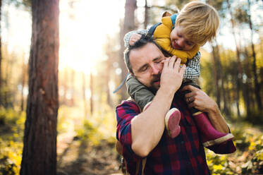 A mature father standing and holding a toddler son in an autumn forest, having fun. - HPIF31126