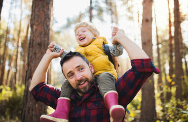 A mature father giving a toddler son a piggyback ride in an autumn forest, holding hands. - HPIF31127