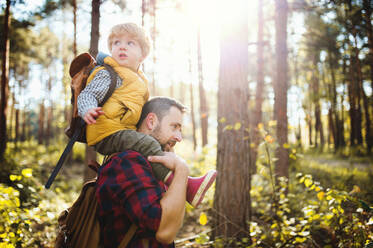 A mature father giving a toddler son a piggyback ride in an autumn forest on a sunny day. - HPIF31129