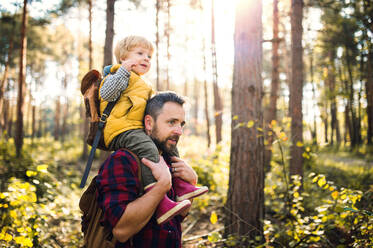 A mature father giving a toddler son a piggyback ride in an autumn forest on a sunny day. - HPIF31130