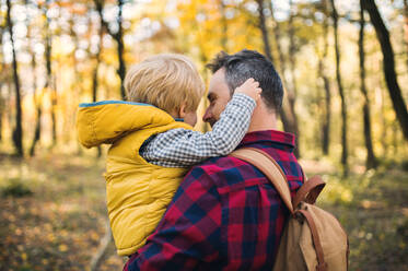 A mature father standing and holding a toddler son in an autumn forest, talking. - HPIF31132