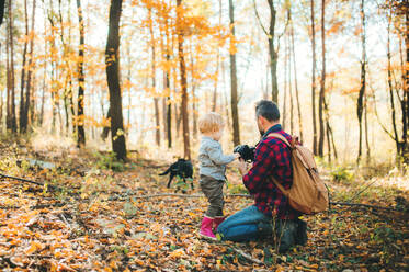 A mature father and a toddler son in an autumn forest, taking pictures with a digital camera. - HPIF31138