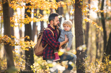 A mature father with a toddler son on a walk in forest on an autumn sunny day. - HPIF31143