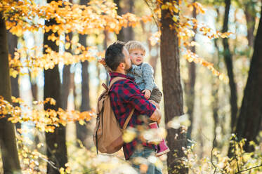 A mature father holding a toddler son in an autumn forest on a sunny day, walking. - HPIF31144